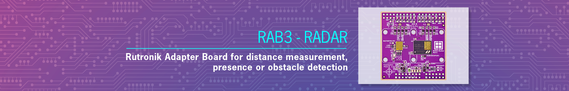 RAB3