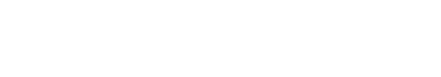 Logo: Swissbit